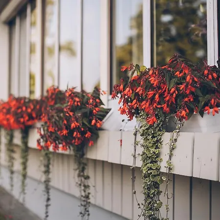 호텔 Hotel Otomin 오토민