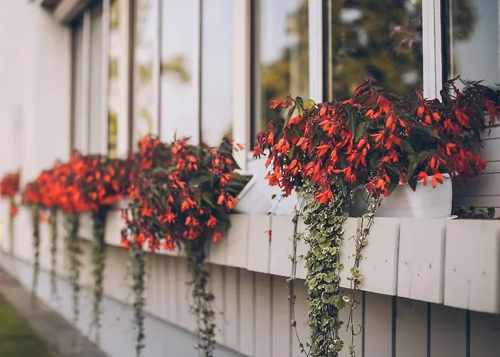 호텔 Hotel Otomin 오토민